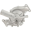 Bosch 98003 Water Pump