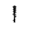 FCS Struts 1334145L Suspension Strut and Coil Spring Assembly Suspension Strut and Coil Spring Assembly