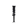 1355132 by FCS STRUTS - Suspension Strut and Coil Spring Assembly
