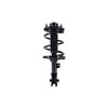 1331657L by FCS STRUTS - Complete Strut Assy