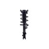 FCS Struts 1334488L Suspension Strut and Coil Spring Assembly Suspension Strut and Coil Spring Assembly