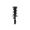1334466L by FCS STRUTS - Suspension Strut and Coil Spring Assembly