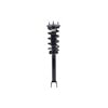 1355173 by FCS STRUTS - Suspension Strut and Coil Spring Assembly