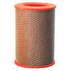 Donaldson P606952 Engine Air Filter AIR PRMY