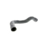 Vaico V201242 Engine Coolant Hose manguera p. radiador