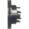 Wagner BD126113 Disc Brake Rotor and Hub Assembly Wagner BD126113 Brake Hub & Rotor