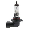 Wagner BP9145 Multi-Purpose Light Bulb Wagner Lighting BP9145 Standard Multi-Purpose Light Bulb Card of 1