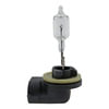 Wagner BP862 Multi-Purpose Light Bulb MINIATURE