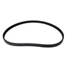 Continental AG 4040319 Serpentine Belt Automotive Multi-V Belt