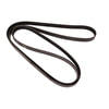 Continental AG 4060433 Serpentine Belt Automotive Multi-V Belt