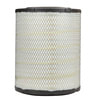 Fleetguard AF25435 Engine Air Filter Air Filter, Primary