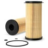 Fleetguard FS20203 Fuel Filter Fuel/Water Separator, Cartridge