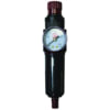 Reading Technologies (RTI) FR250G Air Tool Hose Regulator Filter/Regulator, 1/4" Inlet/Outlet, 30 scfm, 5 um, 120 deg F Max,