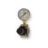 Reading Technologies (RTI) RG30 Air Tool Hose Regulator Regulator and Gauge Assembly, 3/8 in