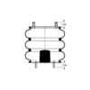 AS-4536 by TRIANGLE SUSPENSION - Triangle Air Spr - Triple Conv., Triangle Bellows # 6319, ContiTech Bellows # FT 530-32