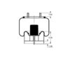 Triangle Suspension AS-8526 Suspension Air Spring Kit Triangle Air Spr - Rolling Lobe, Triangle Bellows # 6382, ContiTech
