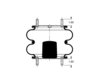 AS-4334 by TRIANGLE SUSPENSION - Triangle Air Spr - Double Conv., Triangle Bellows # 6316, ContiTech Bellows # FD 330-22