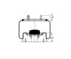 Triangle Suspension AS-8378 Suspension Air Spring Kit AIR SPRNG