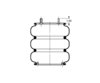 AS-4523 by TRIANGLE SUSPENSION - Triangle Air Spr - Triple Conv., Triangle Bellows # 6335, ContiTech Bellows # FT 530-35