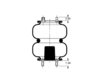 AS-4454 by TRIANGLE SUSPENSION - Triangle Air Spr - Double Conv., Triangle Bellows # 6332, ContiTech Bellows # FD 200-25