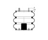 Triangle Suspension AS-4535 Suspension Air Spring Kit Triangle Air Spr - Triple Conv., Triangle Bellows # 6319, ContiTech