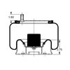 Triangle Suspension AS-8433 Suspension Air Spring Kit Triangle Air Spr - Rolling Lobe, Triangle Bellows # 6385, ContiTech