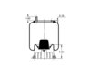 Triangle Suspension AS-8762 Suspension Air Spring Kit Triangle Air Spr - Rolling Lobe, Triangle Bellows # 6364, ContiTech