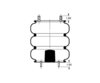 AS-4455 by TRIANGLE SUSPENSION - Triangle Air Spr - Triple Conv., Triangle Bellows # 6335, ContiTech Bellows # FT 530-35