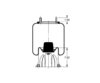 Triangle Suspension AS-8361 Suspension Air Spring Kit Triangle Air Spr - Rolling Lobe, Triangle Bellows # 6373, ContiTech