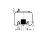 AS-8436 by TRIANGLE SUSPENSION - Triangle Air Spr - Rolling Lobe, Triangle Bellows # 6391, ContiTech Bellows # 9 10-17.5 P436