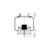 Triangle Suspension AS-8443 Suspension Air Spring Kit Triangle Air Spr - Rolling Lobe, Triangle Bellows # 6391, ContiTech