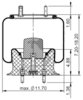 AS-8322 by TRIANGLE SUSPENSION - Triangle Air Spr - Rolling Lobe, Triangle Bellows # 6372