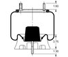 Triangle Suspension AS-8517 Suspension Air Spring Kit Triangle Air Spr - Rolling Lobe, Triangle Bellows # 6372, ContiTech