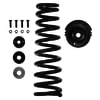 Triangle Suspension NK554 Coil Spring Repl.Srk173-1