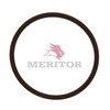 Meritor 5X1069 Automatic Transmission O-Ring Transmission O-Ring - for Auxiliary Drive Gear, 9, 10 and 13 Speed