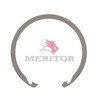 Meritor 1229P2590 Multi-Purpose Snap Ring Multi-Purpose Snap Ring - for Output Bearing