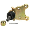 ACDelco 46D2161A Suspension Ball Joint Front Lower Suspension Ball Joint Assembly