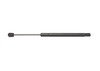 ACDelco 510-1012 Back Glass Lift Support Professional™ Lift Support - Back Glass
