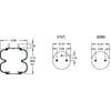 Firestone W013586943 Suspension Air Spring Kit Airide Air Spring Double Convoluted 20-2