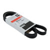 Cummins 3681812 Accessory Drive Belt Accessory Drive Belt
