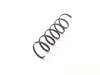 PAI 2301 Multi-Purpose Spring CL13-SPRING
