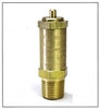 Williams Controls 112405 WM342A Adjustable Safety Valve
