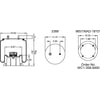 Firestone W013589134 Suspension Air Spring Kit Airide Air Spring Reversible Sleeve 1T19F-9