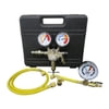 Mastercool 53010-AUT Intercooler Pressure Test Kit Automotive Pressure Testing Regular Kit inc. 53001 Nitrogen Pressure
