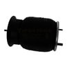 Firestone 9807 AIR SPRING