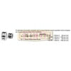 Euclid 1010BBK Rivet BRASS RIVET