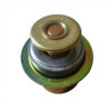 Cummins 4930594 Engine Coolant Thermostat Engine Coolant Thermostat
