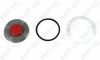 BWP-NSI M-5212 HubCap Window Kit