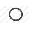 BWP-NSI M-1095 O RING