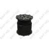 CT65156 by BWP-NSI - PCV, Emission & Fuel Line